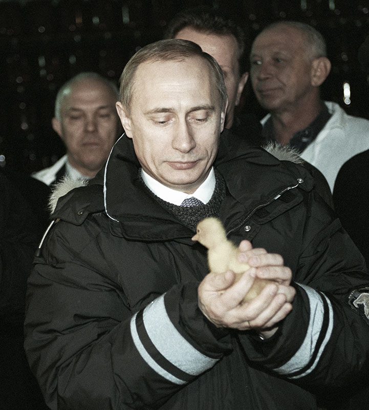 Фото 1 Владимир Путин, вызывающий нежность и умиление: фото разных лет