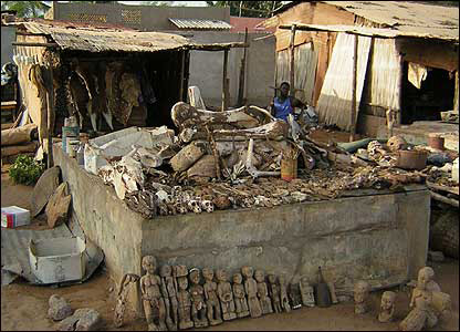 Voodoo market, Ломе, Того
