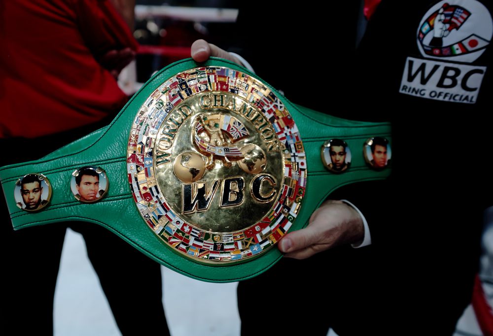 Фото 4 Боксерский поединок за звание чемпиона мира по версии WBC между Дроздом и Влодарчиком
