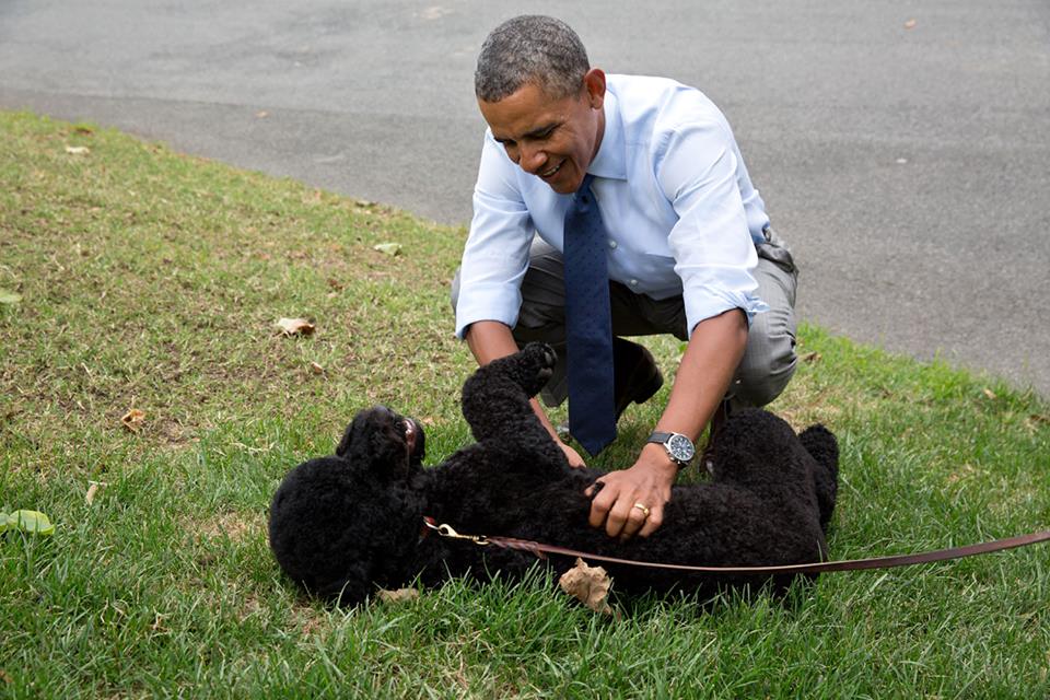 Фото 13 Барак Обама и его семья: жизнь в Белом доме