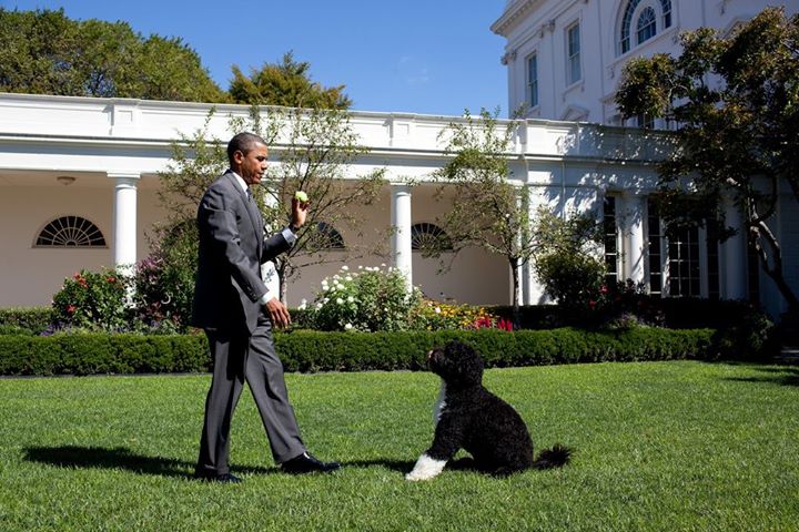 Фото 14 Барак Обама и его семья: жизнь в Белом доме