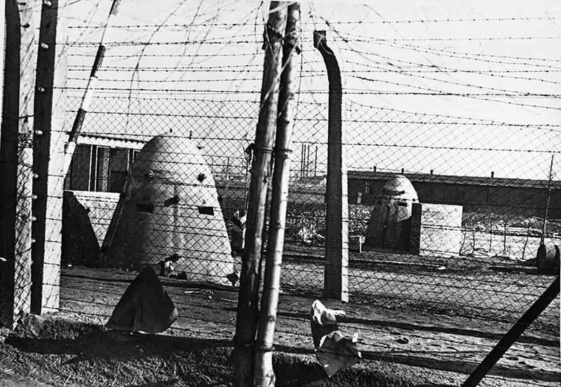 Фото 3 27 января - день освобождения Освенцима и День снятия Блокады Ленинграда